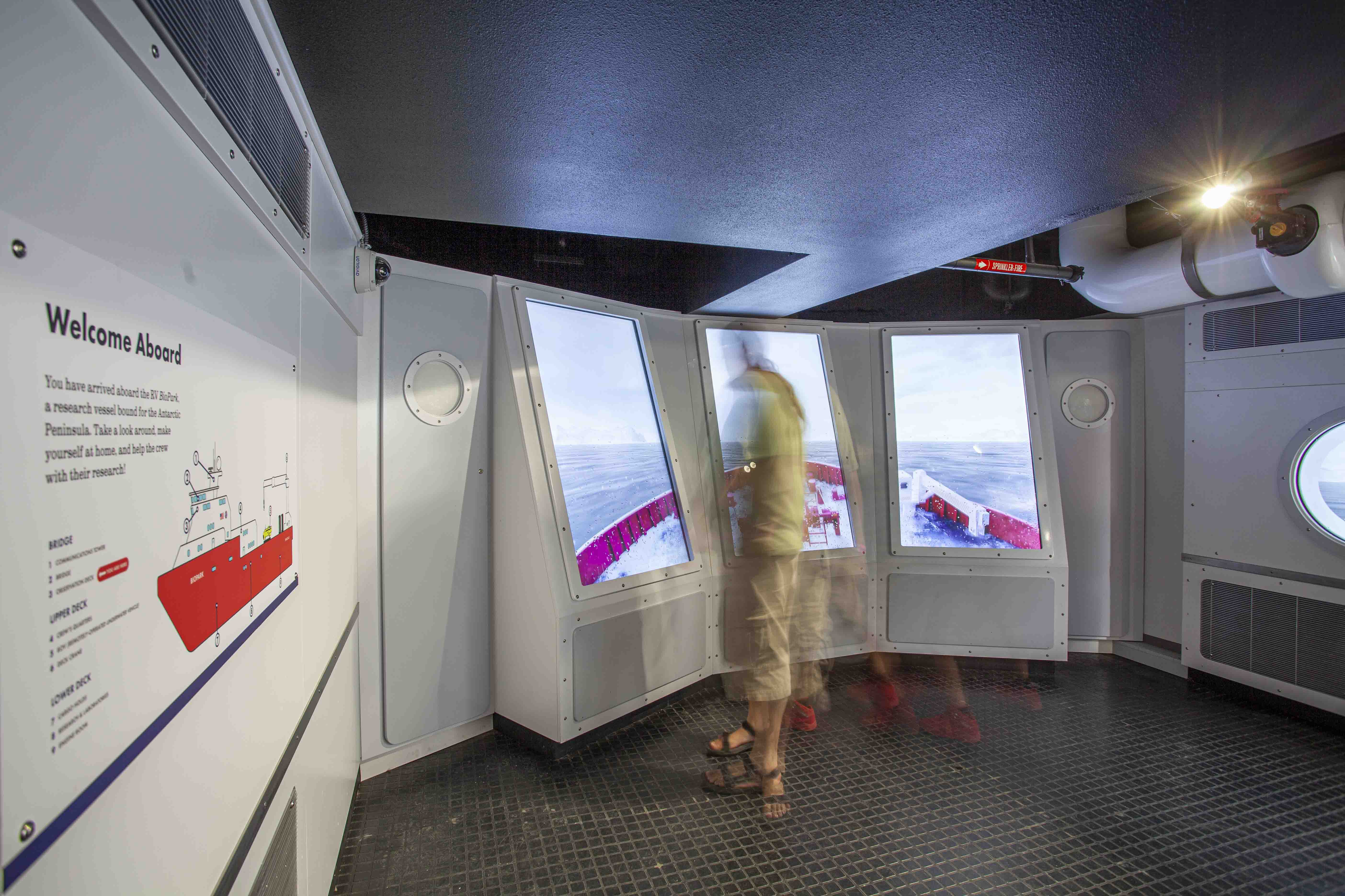 Penguin Chill Exhibit_High Res-2web